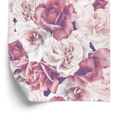 Tapeta Angielskie Róże Flizelina 53x1000 TR-2486-VER-53