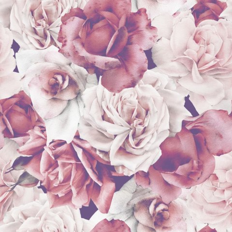 Tapeta Angielskie Róże Flizelina 53x1000 TR-2486-VER-53