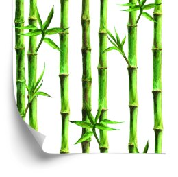 Tapeta Bambusowy Las Flizelina 53x1000 TR-3697-VER-53