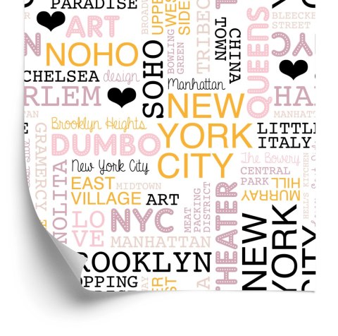 Tapeta Dzielnice Nowego Jorku Flizelina 53x1000 TR-3925-VER-53