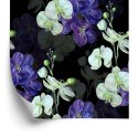 Tapeta Do Salonu Orchidea Storczyk Przyroda Kwiaty Flizelina 53x1000 TR-3142-VER-53