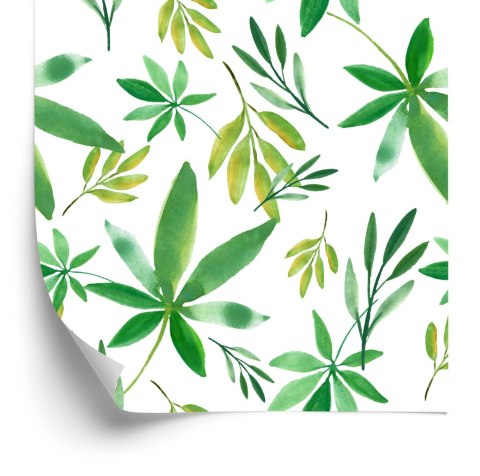 Tapeta Delikatne Kolorowe Listki Flizelina 53x1000 TR-1624-VER-53