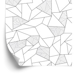 Tapeta Czarno Biały Wzór Geometryczny Flizelina 53x1000 TR-52-VER-53