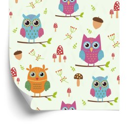 Tapeta Dla Dzieci - Kolorowe Sówki Flizelina 53x1000 TR-169-VER-53