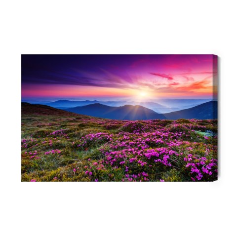 Obraz Na Płótnie Piękny Krajobraz Górski Canvas Naturalny 100x70 LB-86-NC100-70