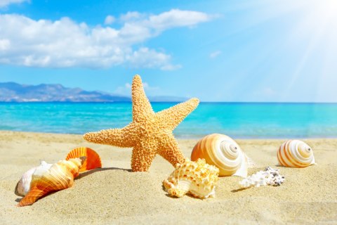 Obraz Na Płótnie Morze Plaża I Muszelki Canvas 120x80 LB-517-C120-80