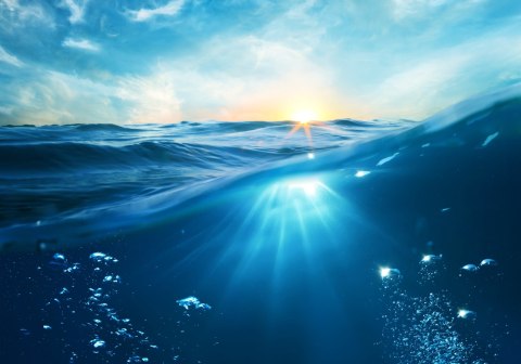 Obraz Na Płótnie Podwodny Świat Morza Canvas Naturalny 100x70 LB-512-NC100-70