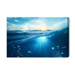 Obraz Na Płótnie Podwodny Świat Morza Canvas Naturalny 120x80 LB-512-NC120-80