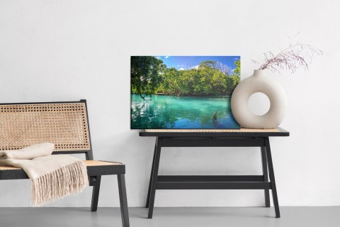 Obraz Na Płótnie Tropikalna Zatoka Morska Canvas 120x80 LB-478-C120-80