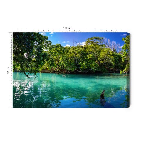 Obraz Na Płótnie Tropikalna Zatoka Morska Canvas Naturalny 100x70 LB-478-NC100-70