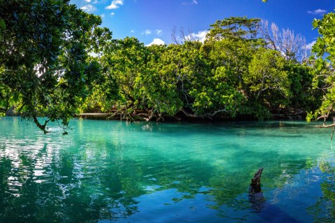 Obraz Na Płótnie Tropikalna Zatoka Morska Canvas Naturalny 120x80 LB-478-NC120-80