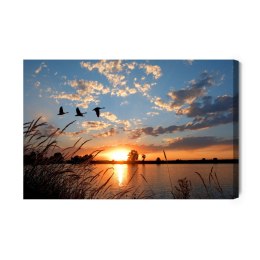 Obraz Na Płótnie Ptaki O Zachodzie Słońca Canvas 120x80 LB-842-C120-80