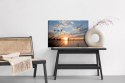 Obraz Na Płótnie Ptaki O Zachodzie Słońca Canvas Naturalny 100x70 LB-842-NC100-70