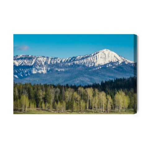 Obraz Na Płótnie Park Narodowy Grand Teton W Usa Canvas Naturalny 120x80 LB-1074-NC120-80