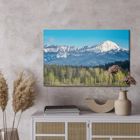 Obraz Na Płótnie Park Narodowy Grand Teton W Usa Canvas Naturalny 120x80 LB-1074-NC120-80