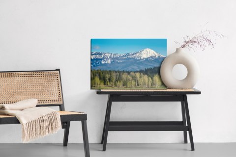Obraz Na Płótnie Park Narodowy Grand Teton W Usa Canvas Naturalny 120x80 LB-1074-NC120-80