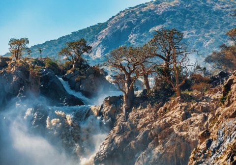 Obraz Na Płótnie Drzewa Przy Wodospadzie Canvas Naturalny 100x70 LB-1569-NC100-70