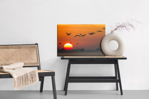 Obraz Na Płótnie Lecące Żurawie Canvas 120x80 LB-830-C120-80