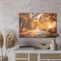 Obraz Na Płótnie Droga W Jesiennym Lesie 3D Canvas 120x80 LB-1225-C120-80