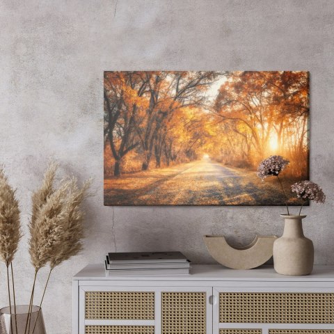 Obraz Na Płótnie Droga W Jesiennym Lesie 3D Canvas 120x80 LB-1225-C120-80