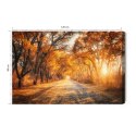 Obraz Na Płótnie Droga W Jesiennym Lesie 3D Canvas 120x80 LB-1225-C120-80