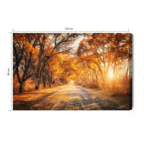 Obraz Na Płótnie Droga W Jesiennym Lesie 3D Canvas 120x80 LB-1225-C120-80