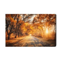 Obraz Na Płótnie Droga W Jesiennym Lesie 3D Canvas Naturalny 100x70 LB-1225-NC100-70