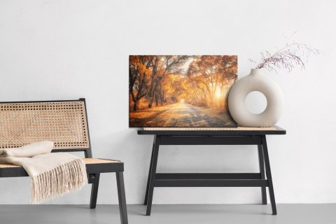 Obraz Na Płótnie Droga W Jesiennym Lesie 3D Canvas Naturalny 100x70 LB-1225-NC100-70