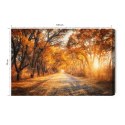 Obraz Na Płótnie Droga W Jesiennym Lesie 3D Canvas Naturalny 100x70 LB-1225-NC100-70