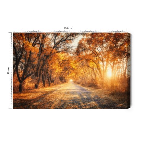 Obraz Na Płótnie Droga W Jesiennym Lesie 3D Canvas Naturalny 100x70 LB-1225-NC100-70