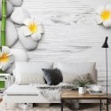 Fototapeta Bambusy Z Kwiatami I Kamieniami Flizelina Zmywalna 315x210 FT-2490-VEML315-210