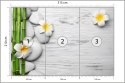Fototapeta Bambusy Z Kwiatami I Kamieniami Flizelina Zmywalna 315x210 FT-2490-VEML315-210