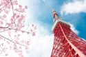 Fototapeta Tokyo Tower Na Tle Nieba Tapeta Samoprzylepna 180x120 FT-2651-SK180-120