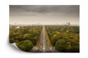 Fototapeta Berlin Z Oddali Flizelina 315x210 FT-2515-VE315-210