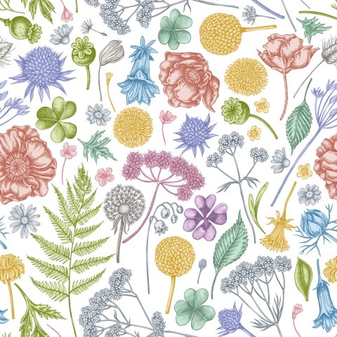 Tapeta Kwiaty Polne Z Paprocią Flizelina 53x1000 TR-3909-VER-53