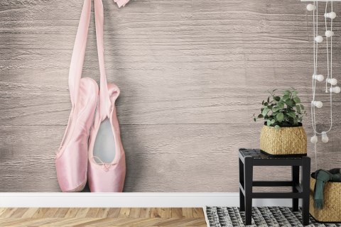 Fototapeta Buty Do Baletu Flizelina Zmywalna 180x120 FT-3817-VEML180-120