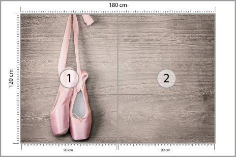 Fototapeta Buty Do Baletu Flizelina Zmywalna 180x120 FT-3817-VEML180-120