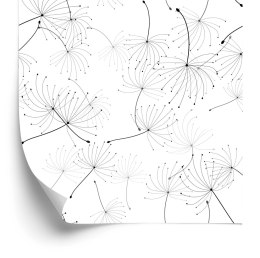 Tapeta Do Sypialni Czarno-Białe Nasiona Dmuchawca Flizelina 53x1000 TR-4097-VER-53