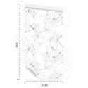 Tapeta Do Sypialni Czarno-Białe Nasiona Dmuchawca Flizelina 53x1000 TR-4097-VER-53