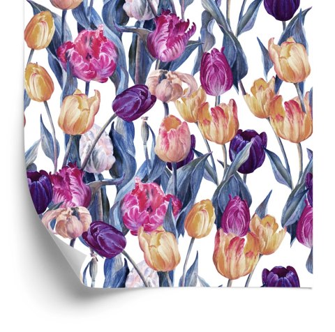 Tapeta Kolorowe Malowane Tulipany Flizelina 53x1000 TR-4129-VER-53