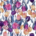 Tapeta Kolorowe Malowane Tulipany Flizelina 53x1000 TR-4129-VER-53