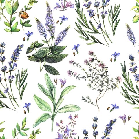 Tapeta Kolorowe Kwiaty Lawendy Flizelina 53x1000 TR-1713-VER-53