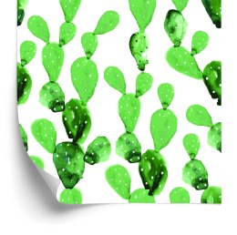 Tapeta Kwiaty Kaktus Akwarela Flizelina 53x1000 TR-2756-VER-53