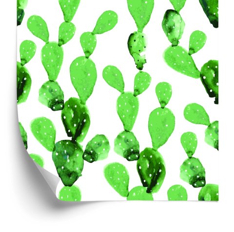 Tapeta Kwiaty Kaktus Akwarela Flizelina 53x1000 TR-2756-VER-53