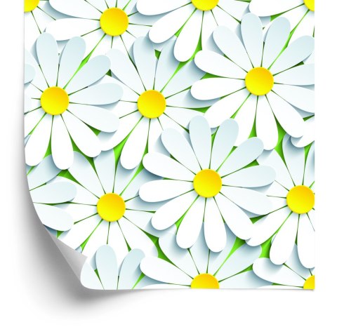 Tapeta Kwiaty - Rumianek 3D Flizelina 53x1000 TR-201-VER-53