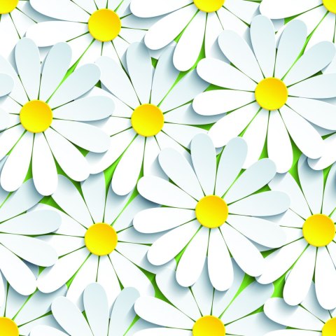 Tapeta Kwiaty - Rumianek 3D Flizelina 53x1000 TR-201-VER-53