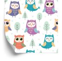 Tapeta Dla Dzieci - Wesołe Sówki Flizelina 53x1000 TR-400-VER-53