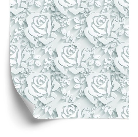 Tapeta 3D, Optyczna, Kwiaty, Liście, Salon, Biuro Flizelina 53x1000 TR-2709-VER-53