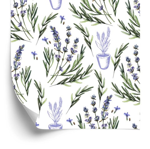 Tapeta Lawenda W Donicach Flizelina 53x1000 TR-2789-VER-53
