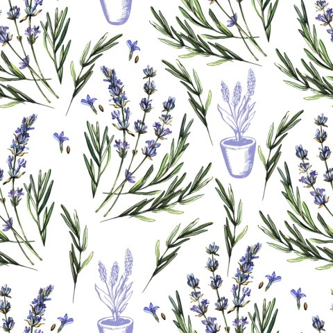 Tapeta Lawenda W Donicach Flizelina 53x1000 TR-2789-VER-53